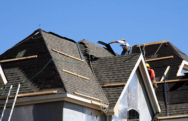 Best Gutter Installation and Roofing  in Shaw Heights, CO